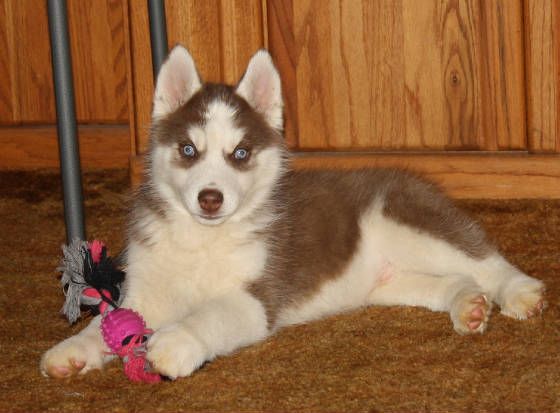 maxx06.jpg